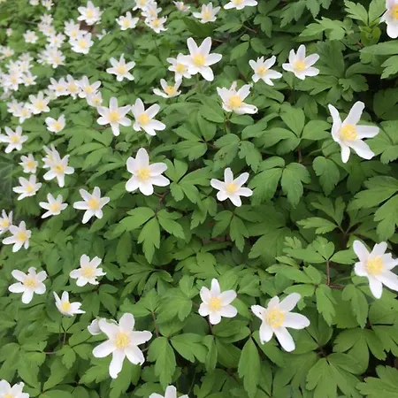 Semesterbostad Wanderer Paradies