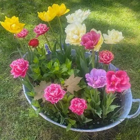 Wanderer Paradies Semesterbostad *