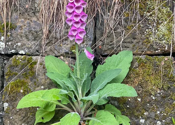 Wanderer Paradies Holiday home