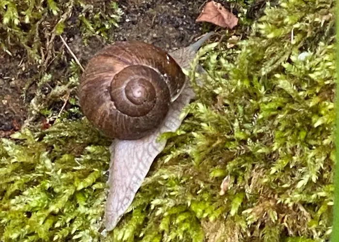 Wanderer Paradies Pirna