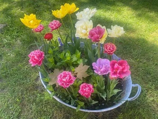 Wanderer Paradies Holiday home *